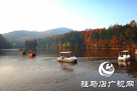 金頂山免門票迎農(nóng)加會(huì) 推動(dòng)“農(nóng)業(yè)+旅游”跨界融合