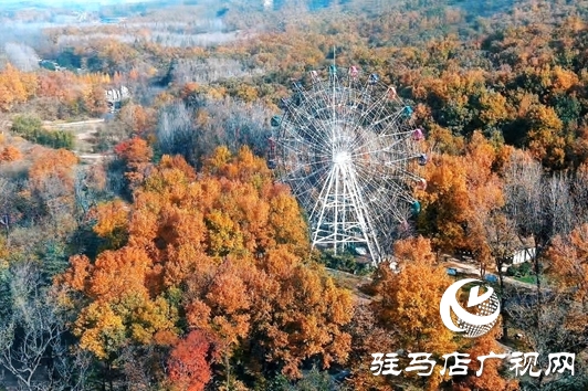 金頂山免門票迎農(nóng)加會(huì) 推動(dòng)“農(nóng)業(yè)+旅游”跨界融合