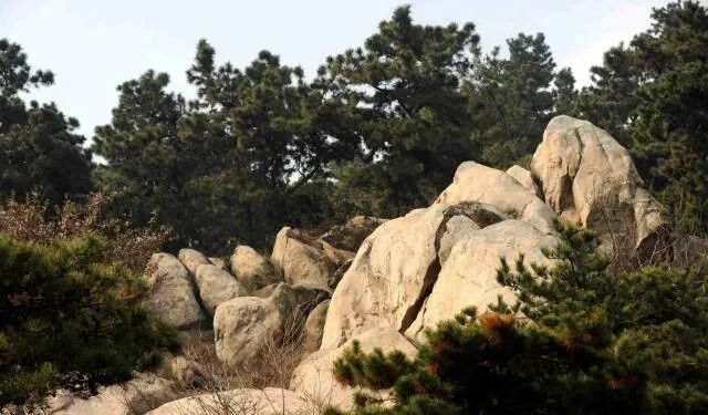 縣區(qū)動(dòng)態(tài) | 象河鄉(xiāng)有兩個(gè)寶藏游玩地，每一個(gè)都值得奔赴