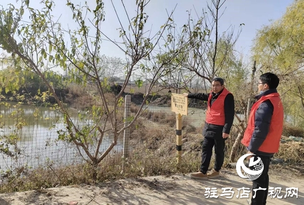 平輿縣射橋鎮(zhèn)組織專人開展重點(diǎn)水域安全隱患專項(xiàng)排查行動(dòng)