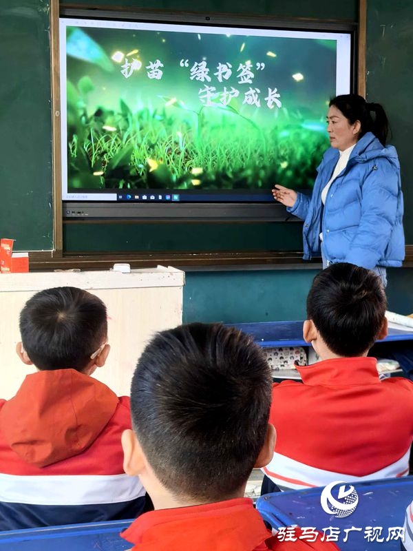 平輿縣古槐第二小學(xué)開展護(hù)苗綠書簽活動(dòng)：書香浸潤(rùn)成長(zhǎng)