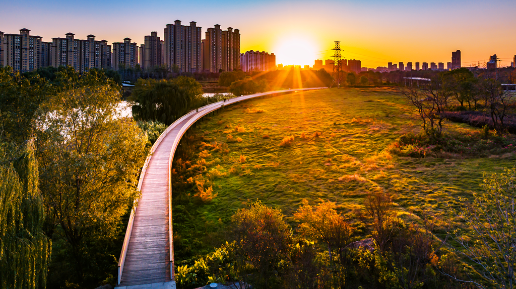 縣區(qū)動(dòng)態(tài) | 月季迎冬開 繁花送香來