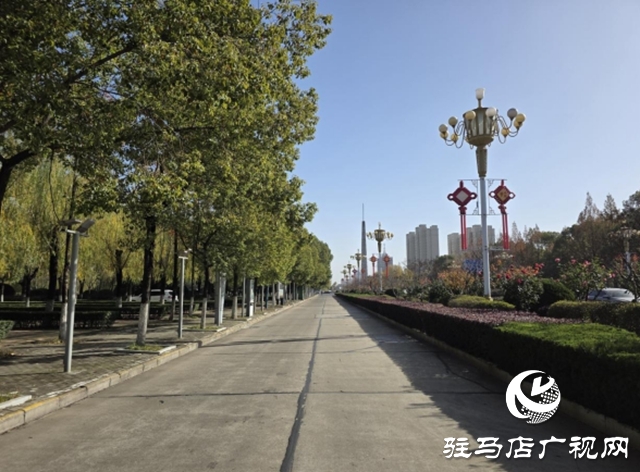 駐馬店：園林精心養(yǎng)護(hù)迎盛會 滿城綠意笑納八方客
