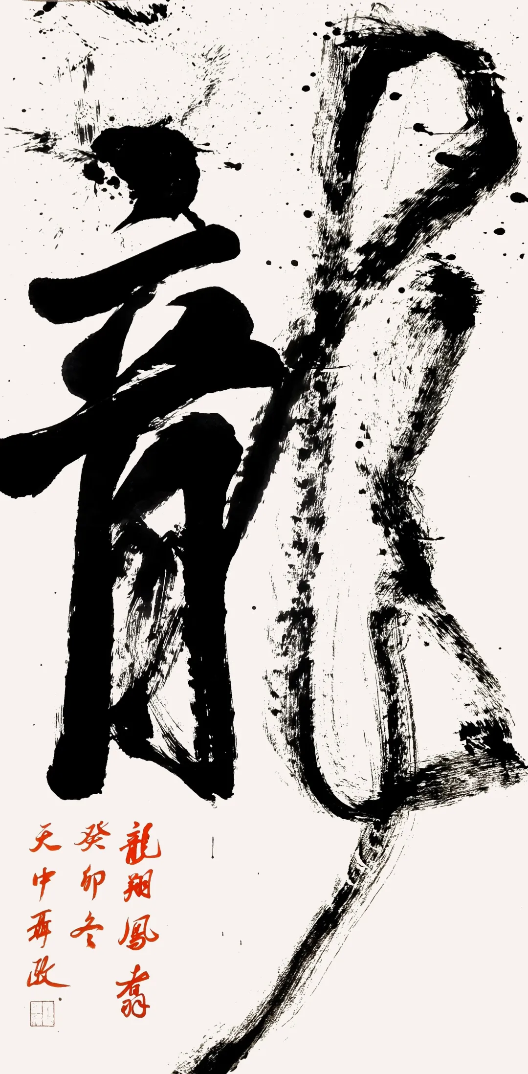 【展訊】“龍翔鳳翥——聶政書法作品展”開展，邀您共賞筆尖風(fēng)雅！