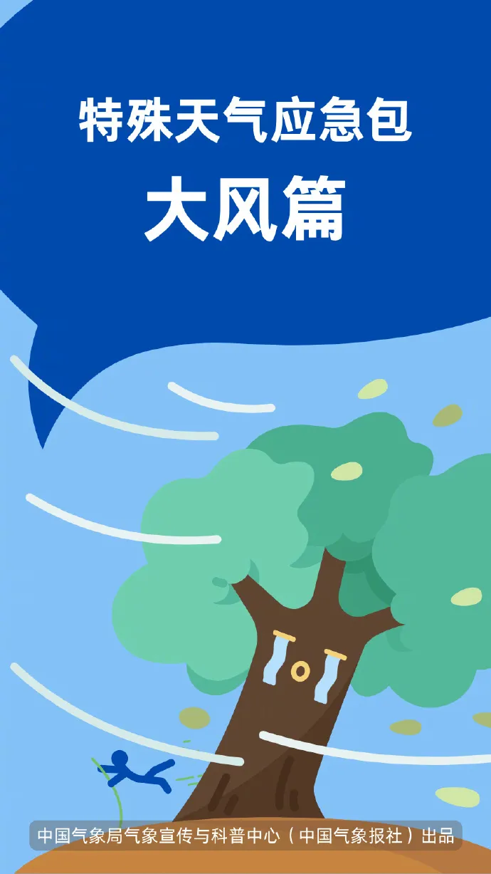 這份大風(fēng)天氣“應(yīng)急包”請收好！