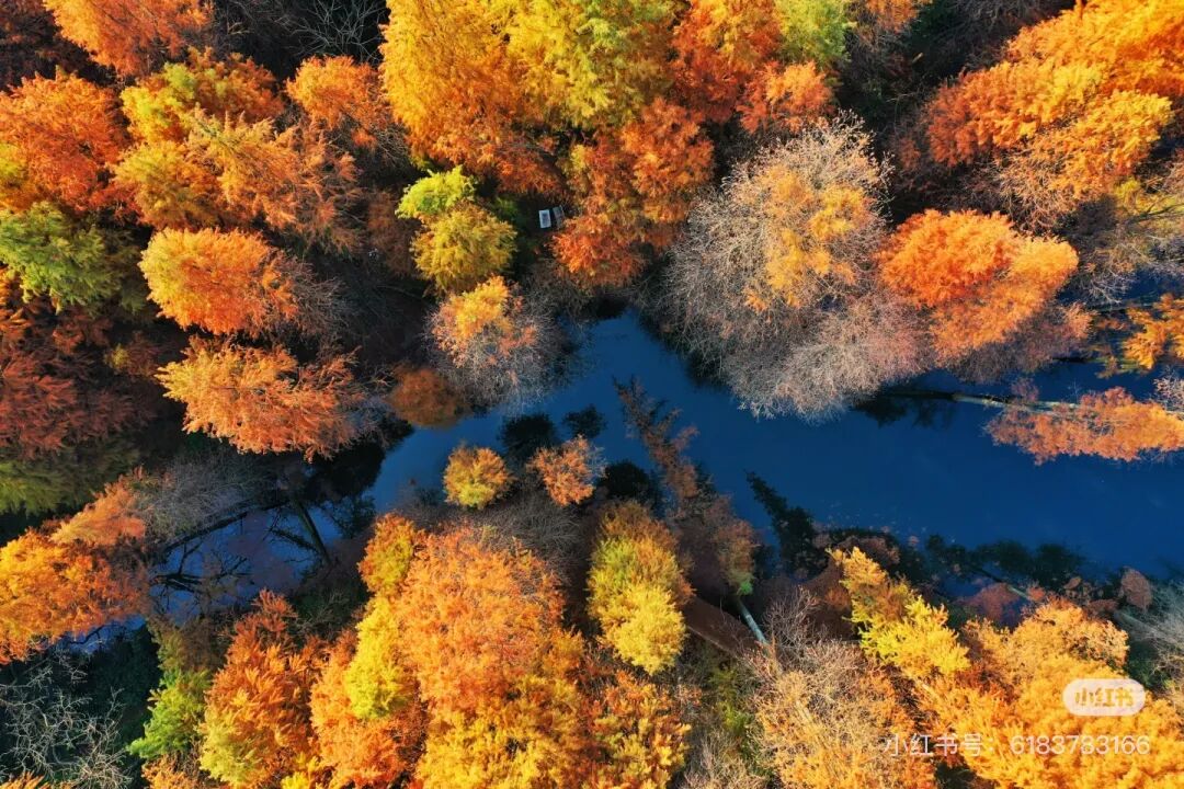 冬日信陽，獨(dú)具魅力！