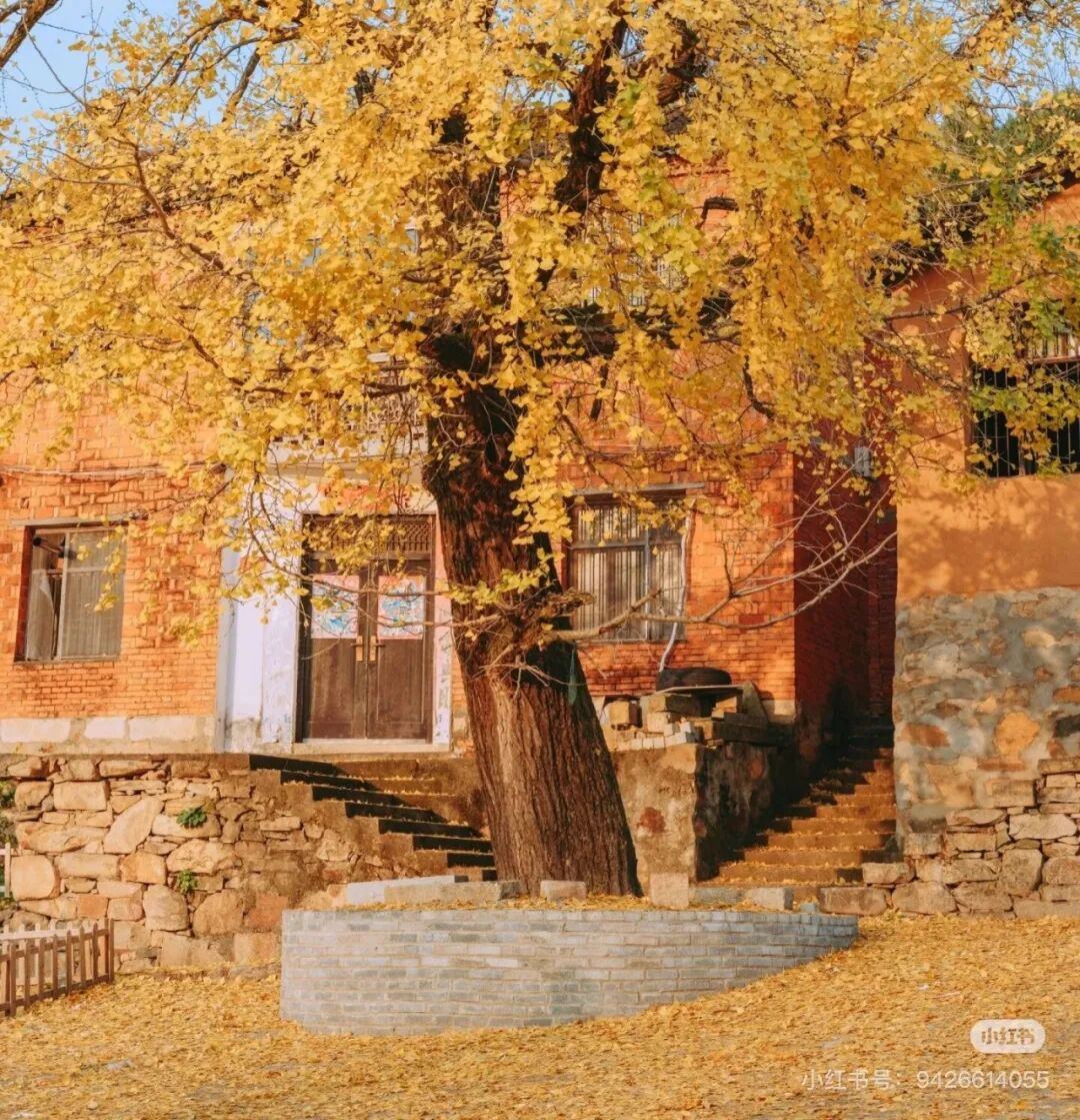 冬日信陽，獨(dú)具魅力！