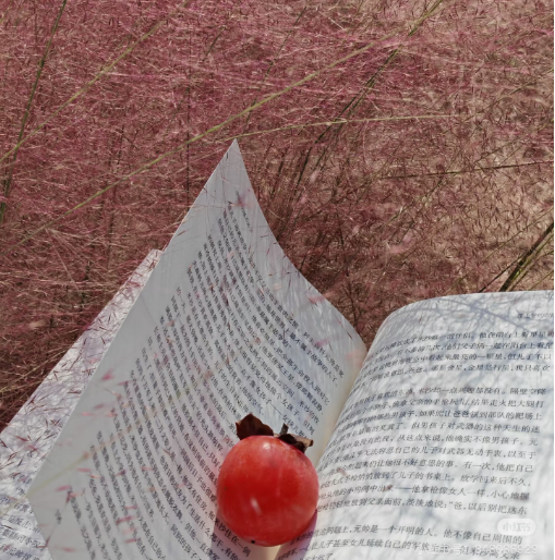 冬日信陽，獨(dú)具魅力！