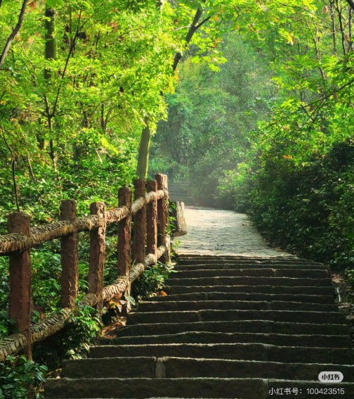 冬日信陽，獨(dú)具魅力！