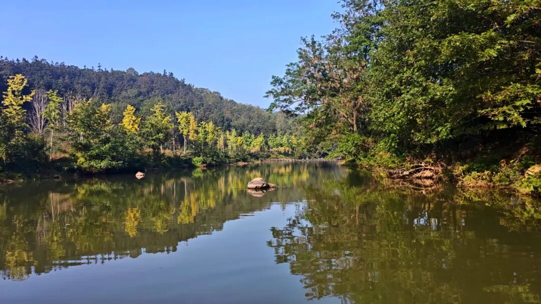 冬日信陽，獨(dú)具魅力！