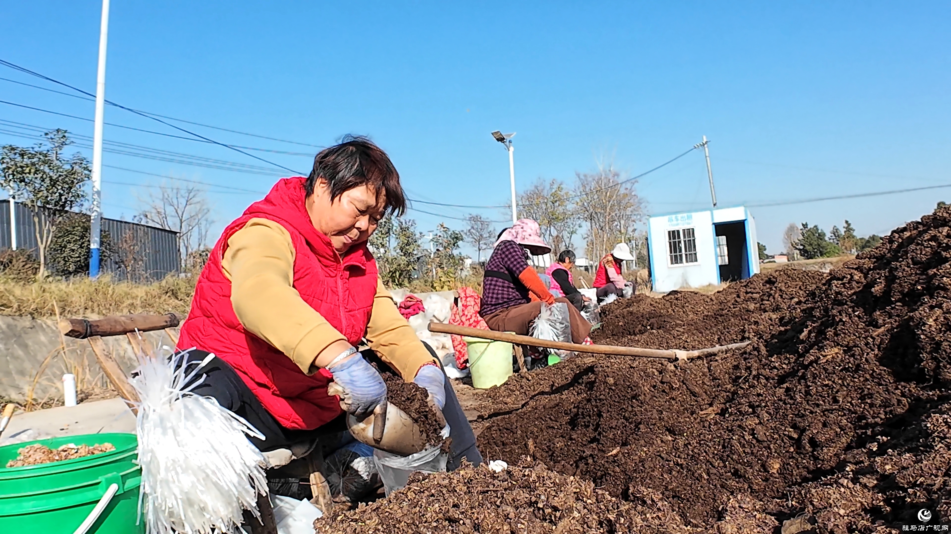 正陽縣熊寨鎮(zhèn)毛集村：菌菇撐起“致富傘” 鄉(xiāng)村綻放“幸?；ā? (1)(6).jpg
