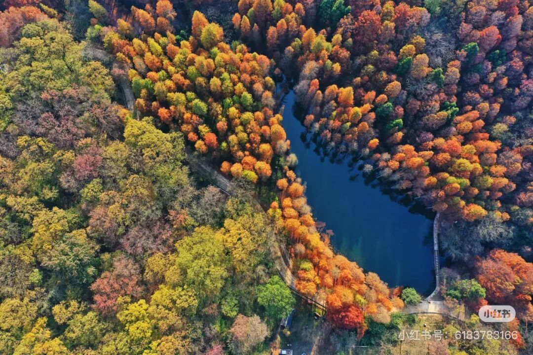 冬日信陽，獨(dú)具魅力！