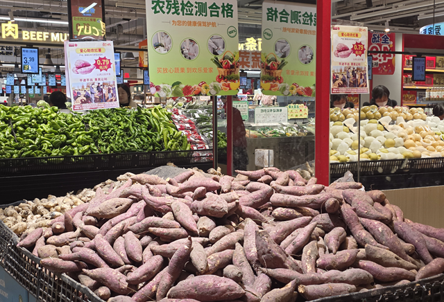 “紅薯專柜”直通市民餐桌 愛心企業(yè)助農(nóng)暖天中