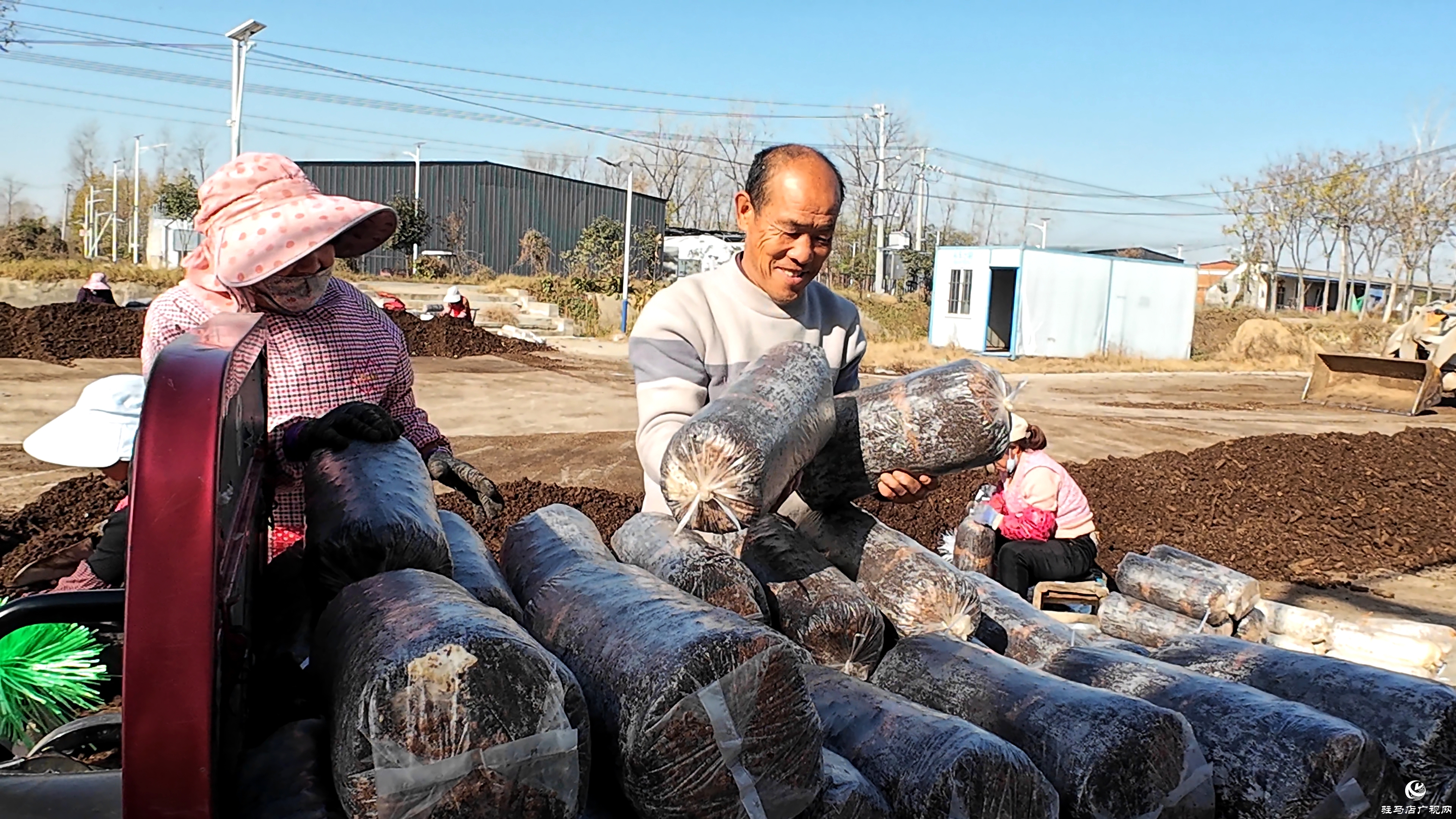 正陽縣熊寨鎮(zhèn)毛集村：菌菇撐起“致富傘” 鄉(xiāng)村綻放“幸?；ā? (1)(4).jpg