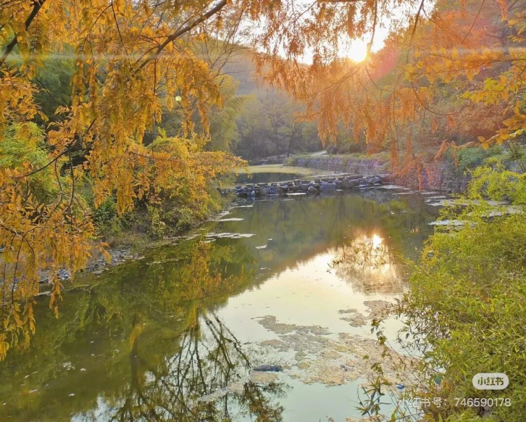 冬日信陽，獨(dú)具魅力！