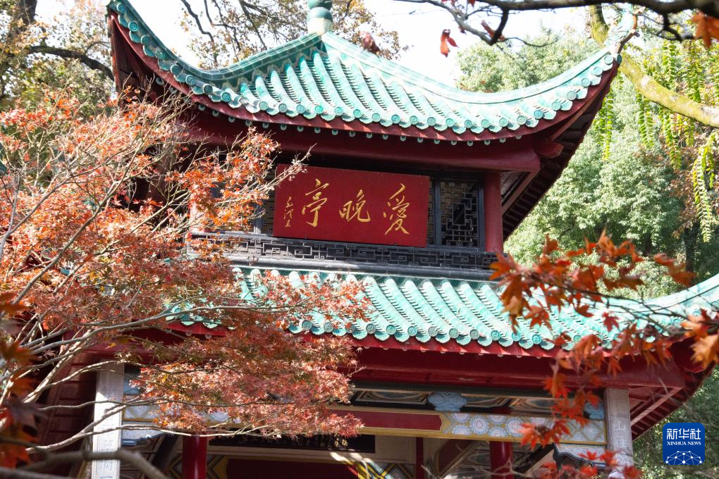 楓葉扮靚愛(ài)晚亭