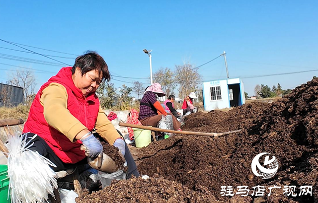 正陽(yáng)縣熊寨鎮(zhèn)毛集村：菌菇撐起“致富傘” 鄉(xiāng)村綻放“幸?；ā? width=