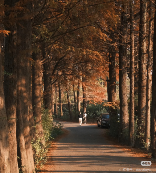 冬日信陽，獨(dú)具魅力！