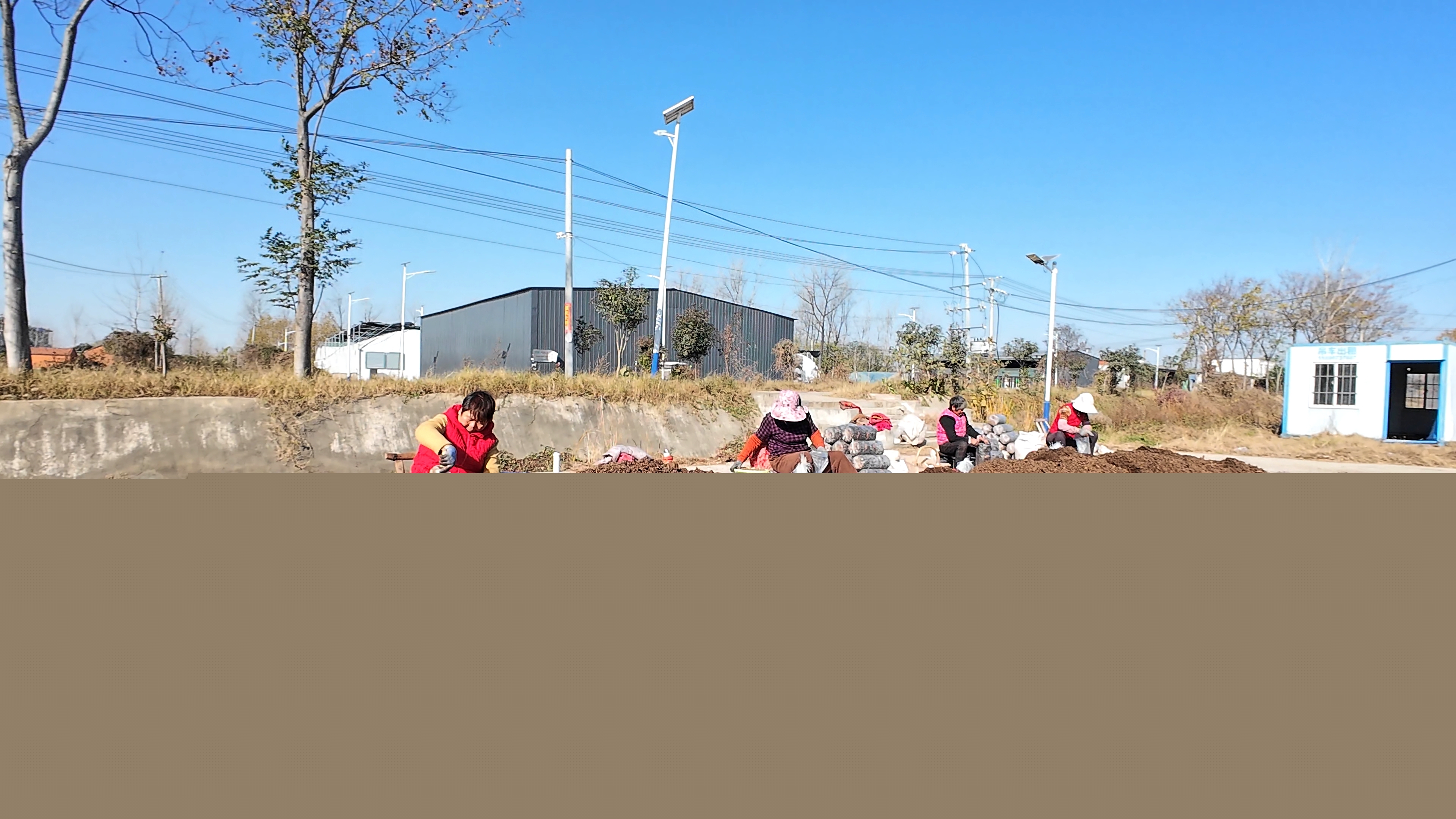 正陽縣熊寨鎮(zhèn)毛集村：菌菇撐起“致富傘” 鄉(xiāng)村綻放“幸?；ā? (1).jpg