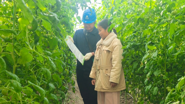 國(guó)網(wǎng)新蔡縣供電公司:電力靠前服務(wù)守護(hù)群眾“菜籃子”