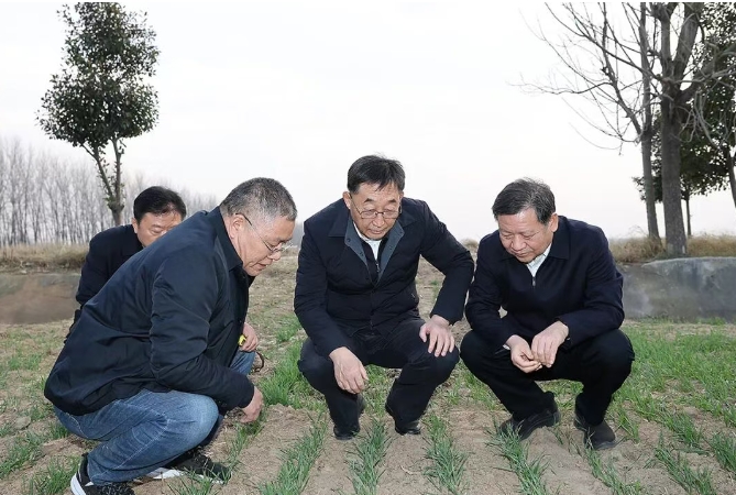 劉寧到駐馬店平輿上蔡西平調(diào)研時(shí)強(qiáng)調(diào)：突出特色優(yōu)勢(shì) 加快轉(zhuǎn)型升級(jí) 推動(dòng)縣域經(jīng)濟(jì)高質(zhì)量發(fā)展