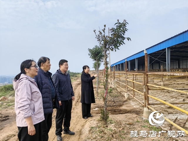 陶莊村:“五星”支部強(qiáng)引領(lǐng) 筑牢堡壘促振興