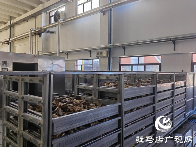 龜鹿藥業(yè)吹響年度目標(biāo)“沖鋒號”