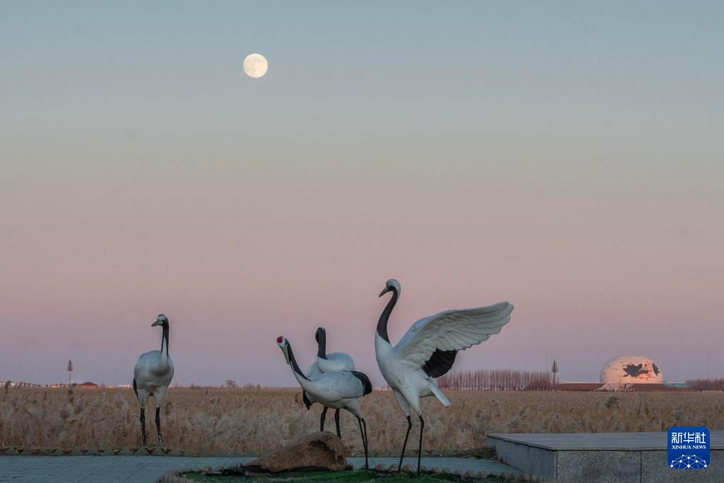 “超級月亮”亮相天宇