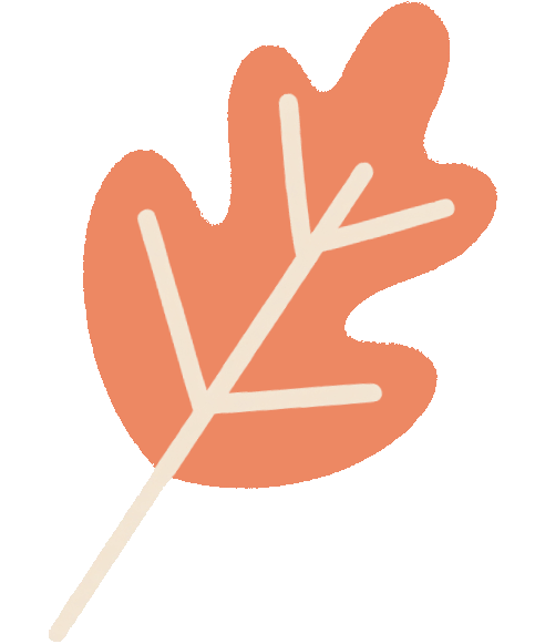 家門口的練江湖，藏著一片會(huì)“燃燒”的森林！