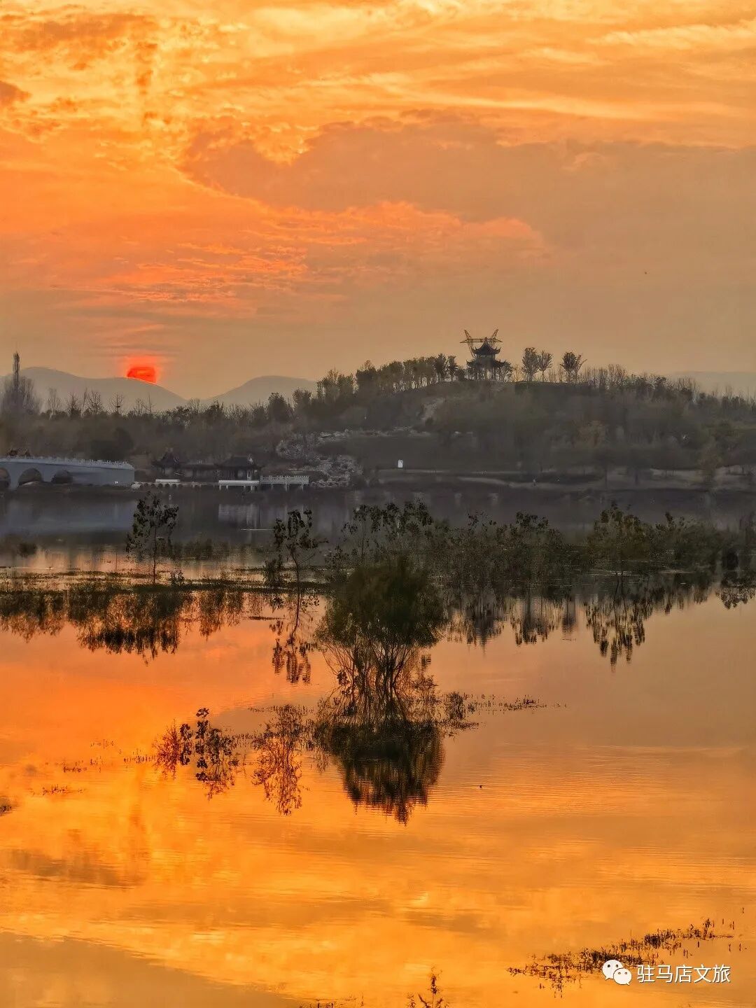 家門口的練江湖，藏著一片會(huì)“燃燒”的森林！