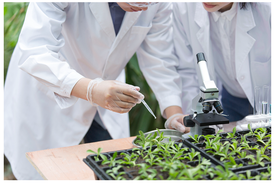 經濟大省挑大梁|河南這樣拼未來