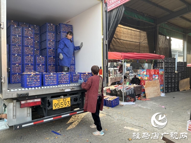 冬令水果扎堆上市 本月中下旬價(jià)格有望進(jìn)一步回落