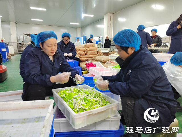 河南杞樂生物科技：多維發(fā)力備戰(zhàn)雙十二 帶動本土特色產(chǎn)業(yè)提質(zhì)升級