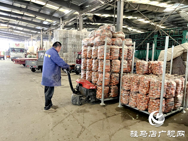 駐馬店市眾信農副產品綜合批發(fā)市場：全力應對寒潮天氣 保障冬季蔬菜供應