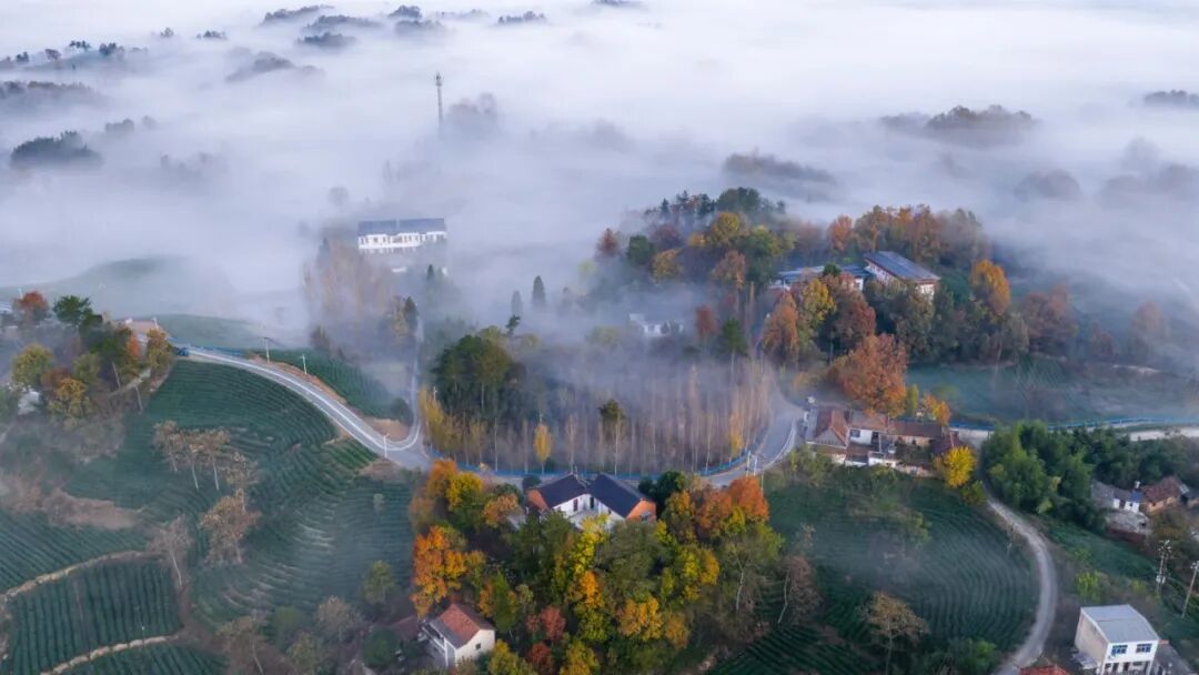 美！河南冬景上新啦