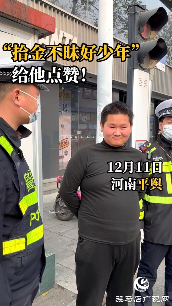 平輿縣:文明之城暖意濃 凡人善舉映初心