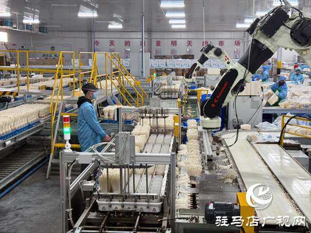 華綠生物科技:智能生產(chǎn)引領 循環(huán)模式增效