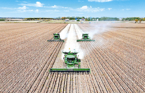 超1.4萬億斤！2025年全國(guó)糧食實(shí)現(xiàn)豐收