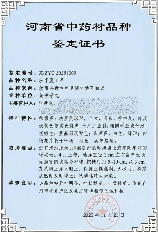  喜報！黃淮學(xué)院&ldquo;汝半夏1號&rdquo;獲省中藥材品種鑒定證書