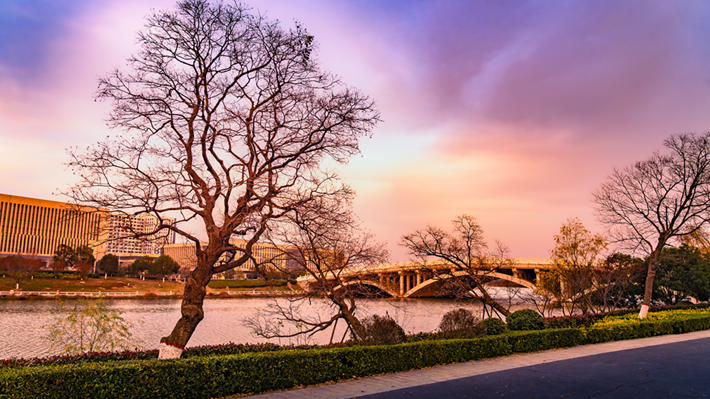 縣區(qū)動(dòng)態(tài) | 金輝染玉帶 樹(shù)影繪冬卷