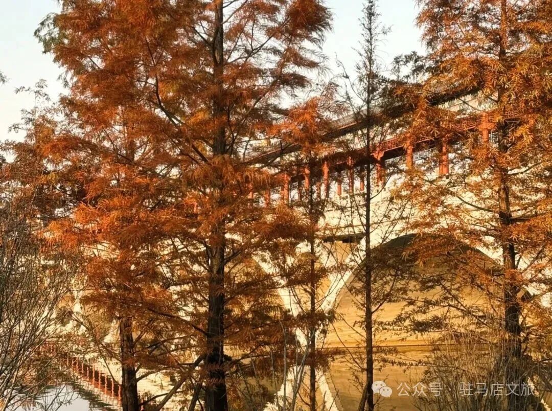 全部免費！在駐馬店，收藏冬日的第一縷暖陽