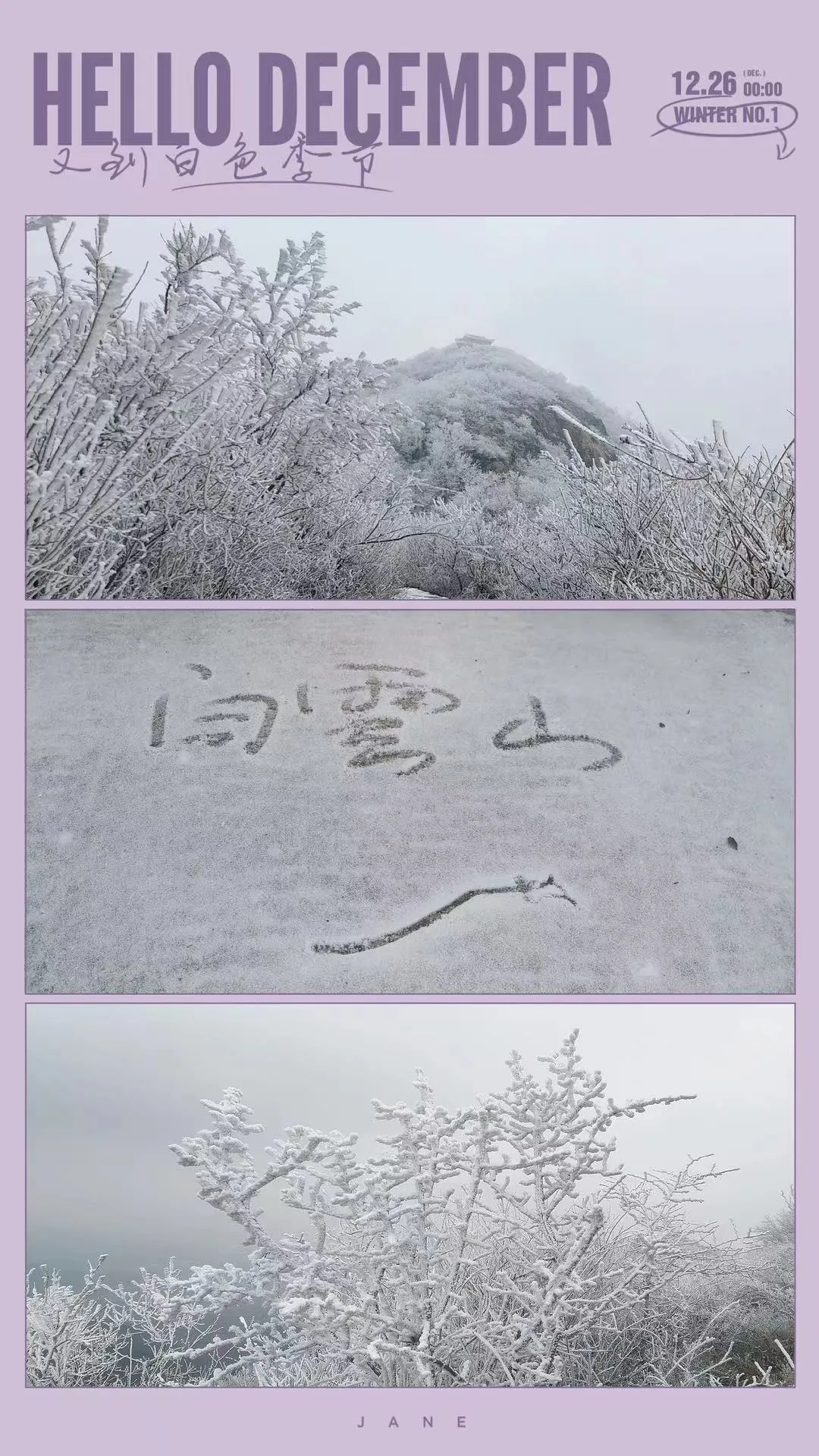 速凍的浪漫，這波冬日顏值“殺”我！