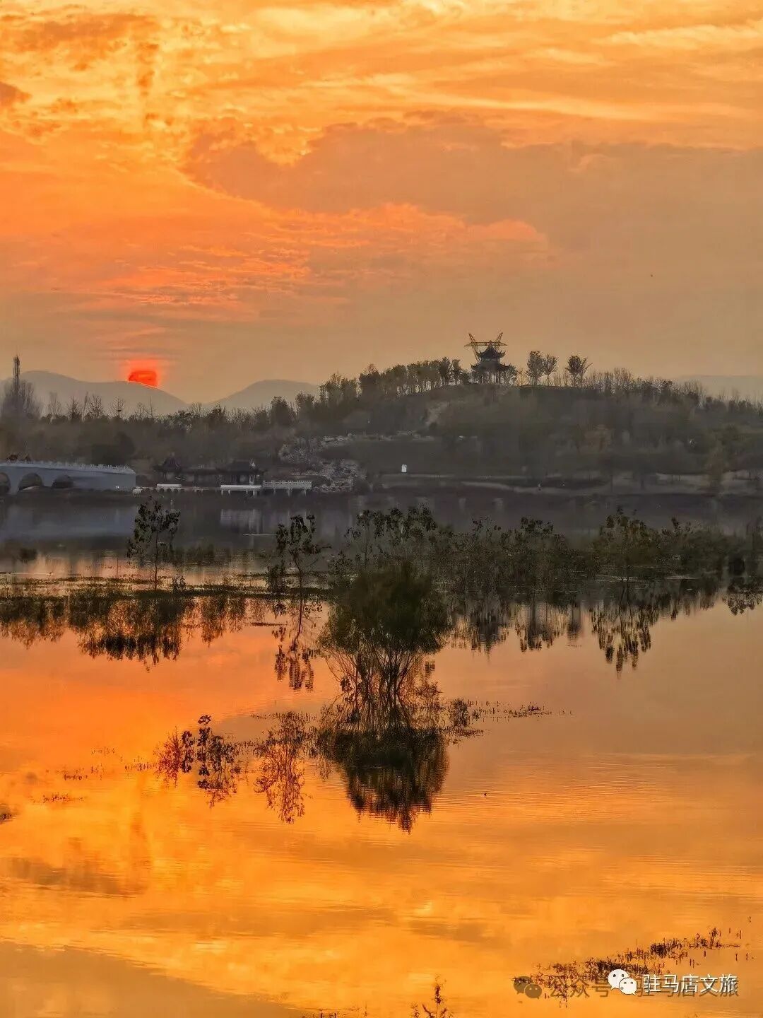 全部免費！在駐馬店，收藏冬日的第一縷暖陽