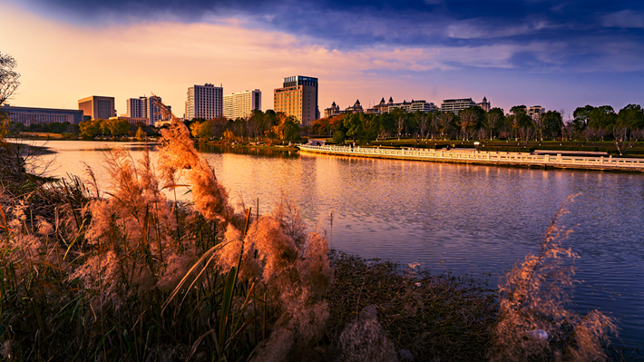 縣區(qū)動(dòng)態(tài) | 金輝染玉帶 樹(shù)影繪冬卷