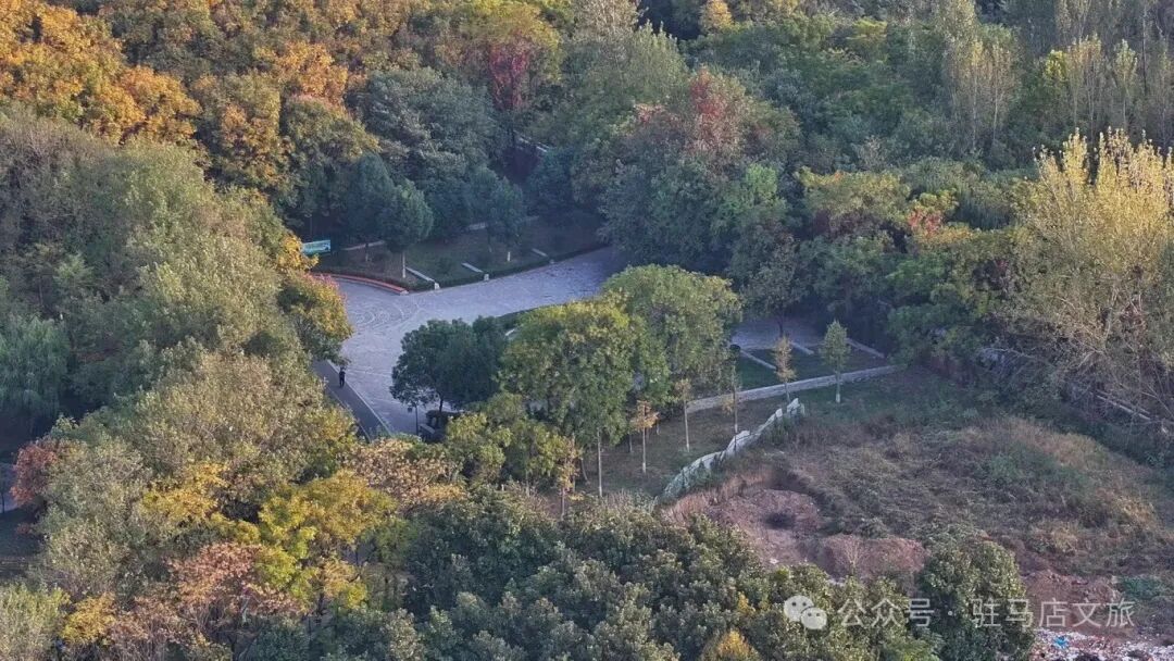 全部免費！在駐馬店，收藏冬日的第一縷暖陽