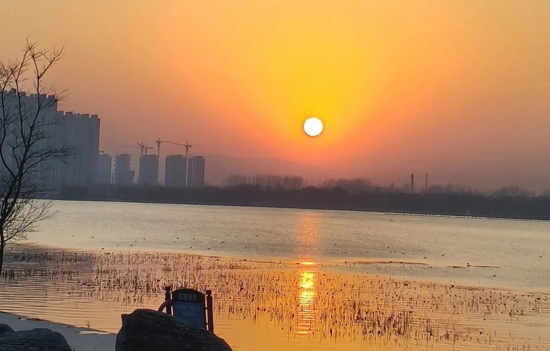 全部免費！在駐馬店，收藏冬日的第一縷暖陽