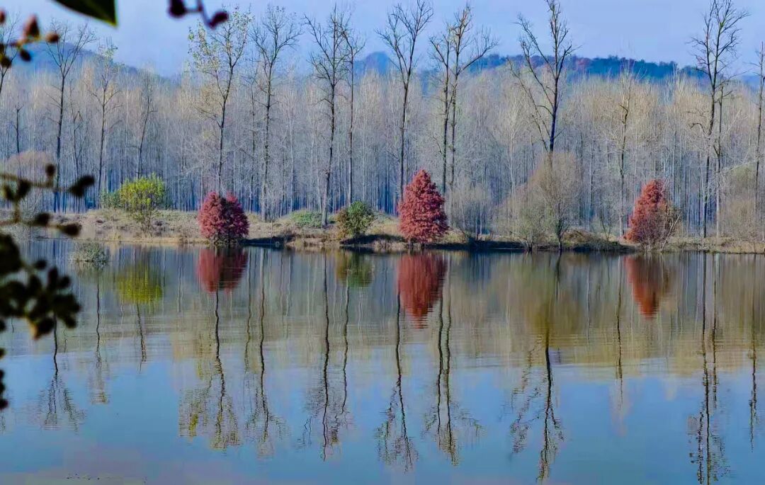 沖口村！把山水寫(xiě)成詩(shī)的寶藏小村