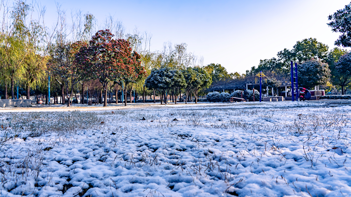 縣區(qū)動(dòng)態(tài) | 雪落無聲 詩意滿園