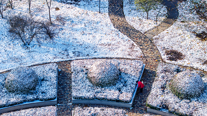 縣區(qū)動(dòng)態(tài) | 雪落無聲 詩意滿園