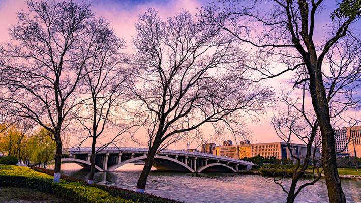 縣區(qū)動(dòng)態(tài) | 金輝染玉帶 樹(shù)影繪冬卷